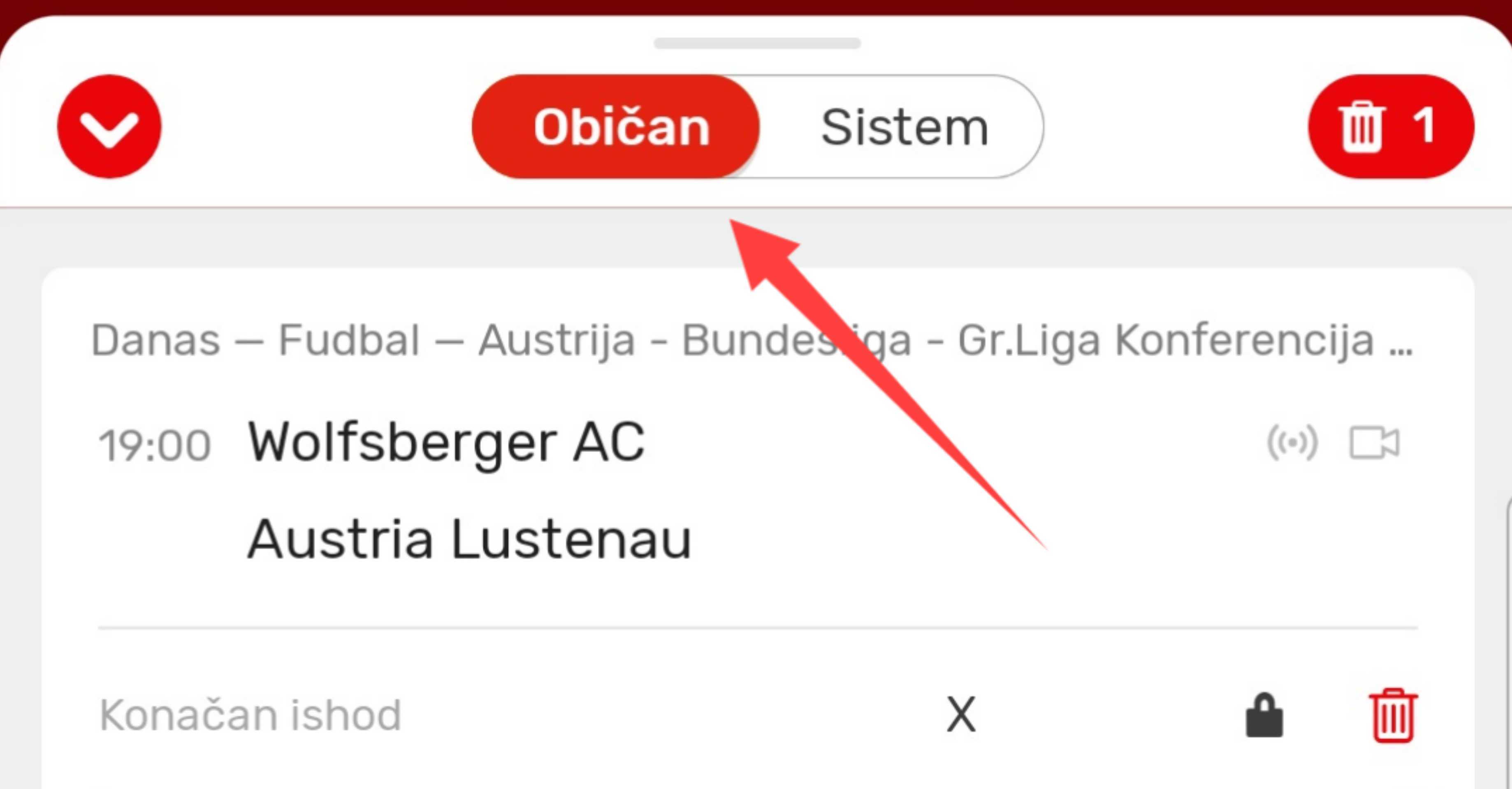 obican_tiket.jpg
